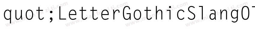 quot;LetterGothicSlangOTW01字体转换