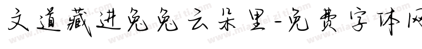 文道藏进兔兔云朵里字体转换