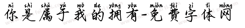 你是属于我的拥有字体转换