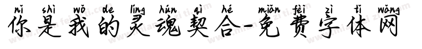 你是我的灵魂契合字体转换