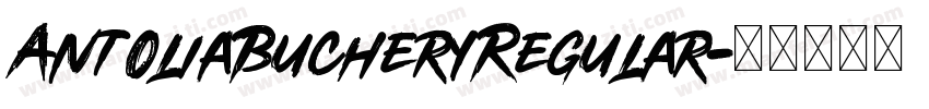 AntoliaBucheryRegular字体转换