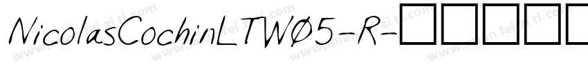 NicolasCochinLTW05-R字体转换