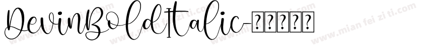 DevinBoldItalic字体转换