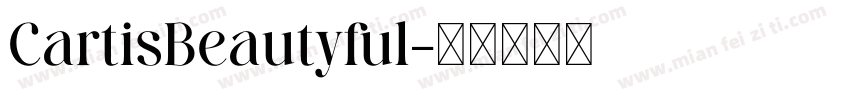 CartisBeautyful字体转换