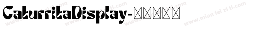 CaturritaDisplay字体转换