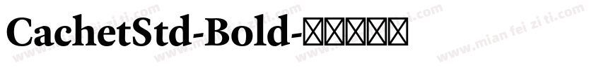CachetStd-Bold字体转换