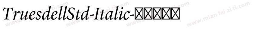 TruesdellStd-Italic字体转换