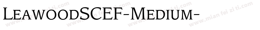 LeawoodSCEF-Medium字体转换