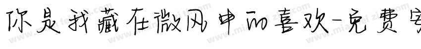 你是我藏在微风中的喜欢字体转换