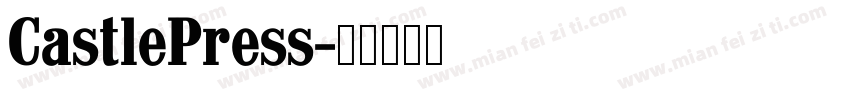 CastlePress字体转换