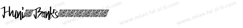 Huni_Banks字体转换