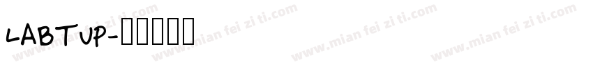 LABTUP字体转换