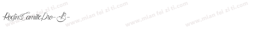 RodinCamillePro-B字体转换