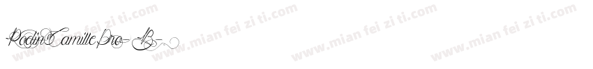 RodinCamillePro-B字体转换