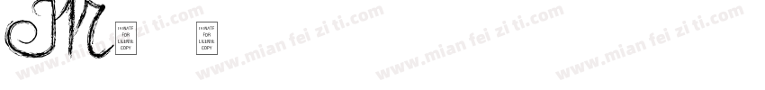 MC字体字体转换