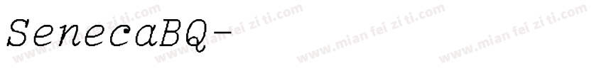 SenecaBQ-LightItalic字体转换