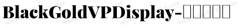 BlackGoldVPDisplay字体转换