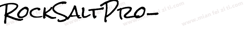 RockSaltPro字体转换
