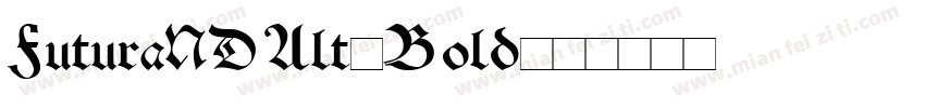 FuturaNDAlt-Bold字体转换