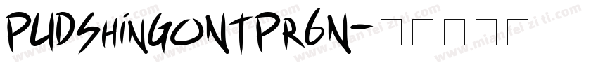 PUDShinGoNTPr6N字体转换