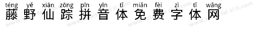 藤野仙踪拼音体字体转换