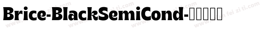 Brice-BlackSemiCond字体转换