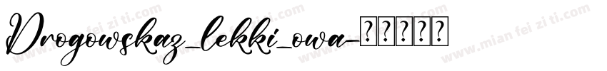 Drogowskaz_lekki_owa字体转换