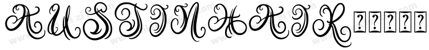 austinhair字体转换