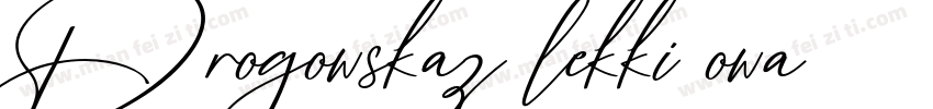 Drogowskaz_lekki_owa字体转换