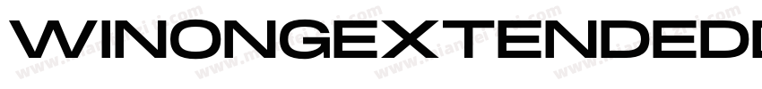 WinongExtendedDemo字体转换