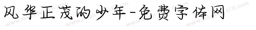 风华正茂的少年字体转换