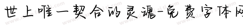 世上唯一契合的灵魂字体转换