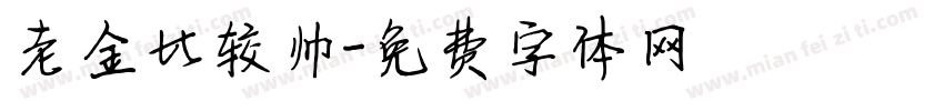 老金比较帅字体转换