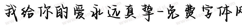 我给你的爱永远真挚字体转换