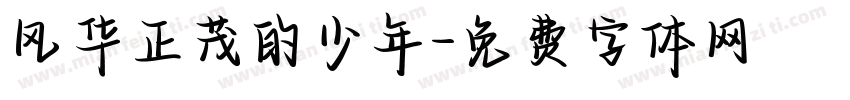 风华正茂的少年字体转换