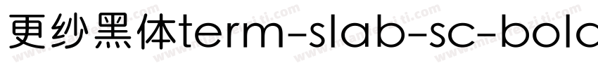更纱黑体term-slab-sc-bolditalic手机版字体转换
