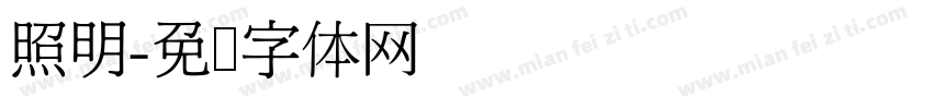 照明字体转换