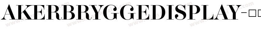 AkerBryggeDisplay字体转换