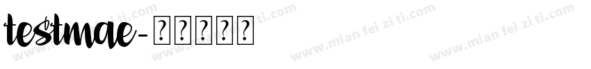 testmae字体转换