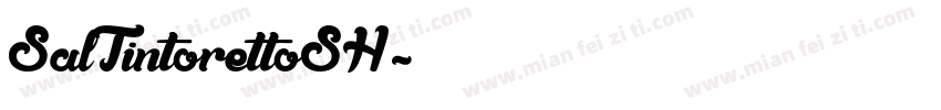 SalTintorettoSH字体转换
