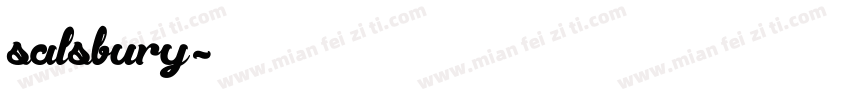 salsbury字体转换