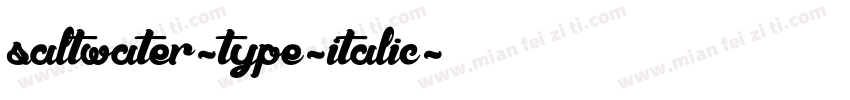 saltwater-type-italic字体转换
