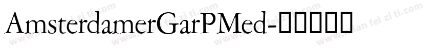AmsterdamerGarPMed字体转换