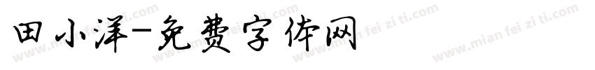 田小洋字体转换