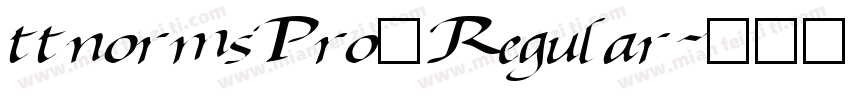 ttnormsPro一Regular字体转换