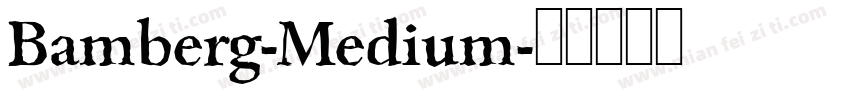 Bamberg-Medium字体转换