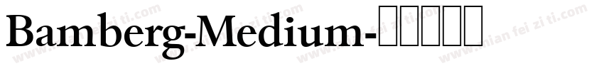 Bamberg-Medium字体转换