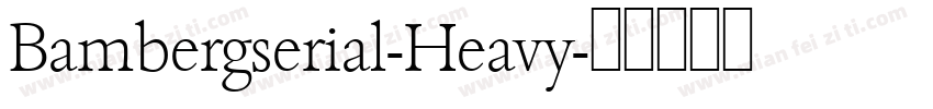 Bambergserial-Heavy字体转换