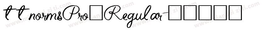 ttnormsPro一Regular字体转换