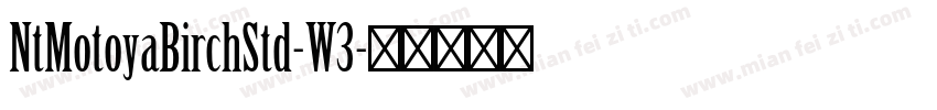 NtMotoyaBirchStd-W3字体转换